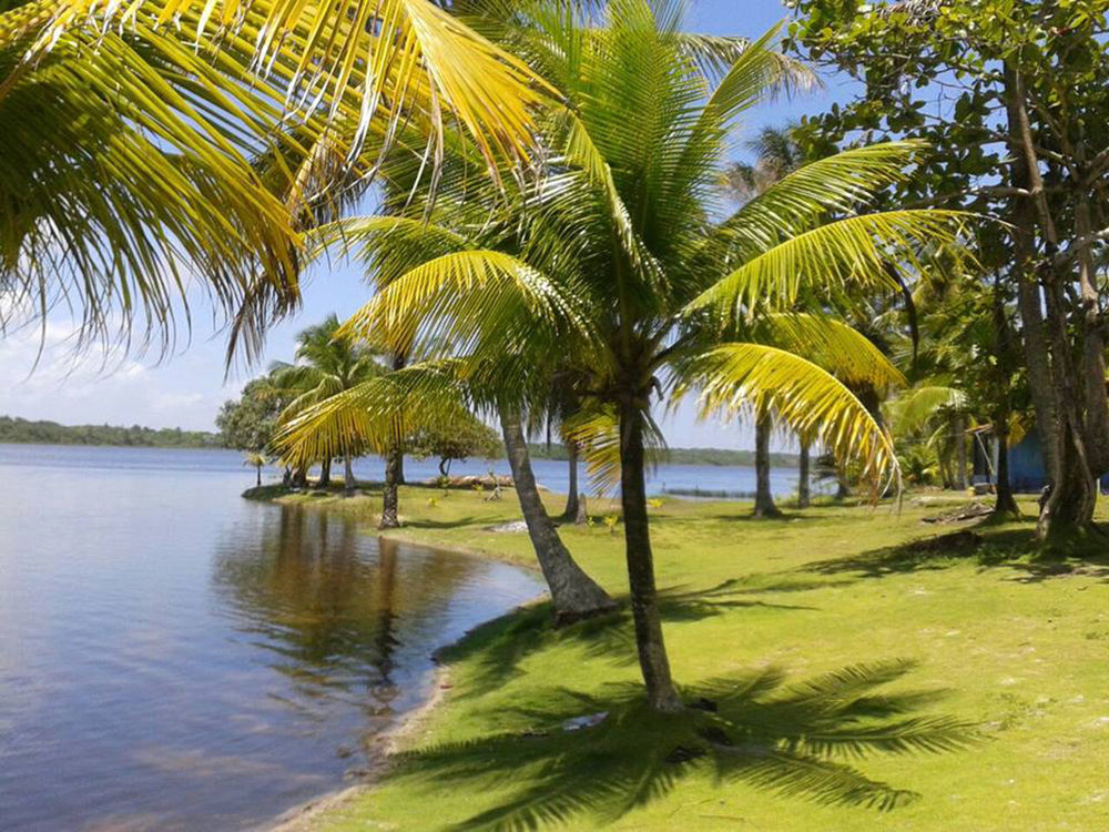 Htl Tubarao Hotel Barra Grande  Buitenkant foto