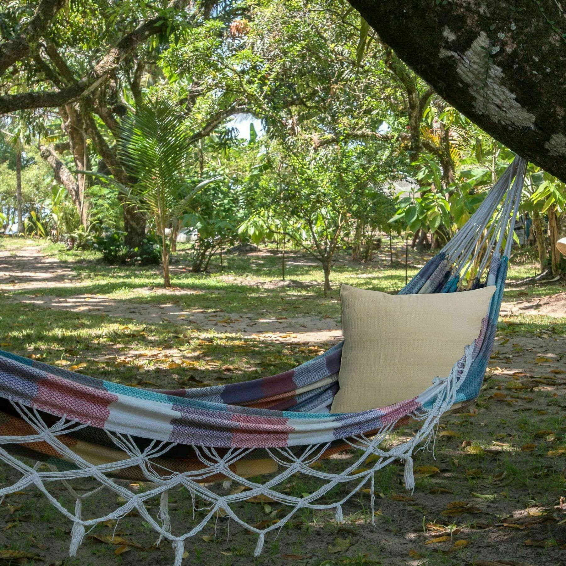 Htl Tubarao Hotel Barra Grande  Buitenkant foto